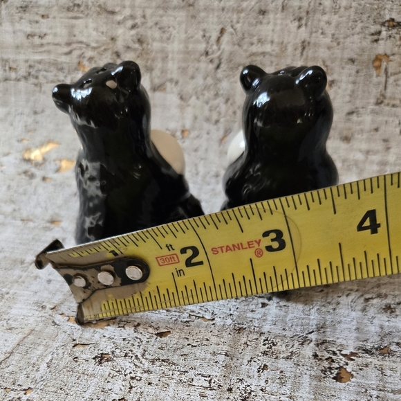 Bear Salt And Pepper Shaker Set - Picture 9 of 9
